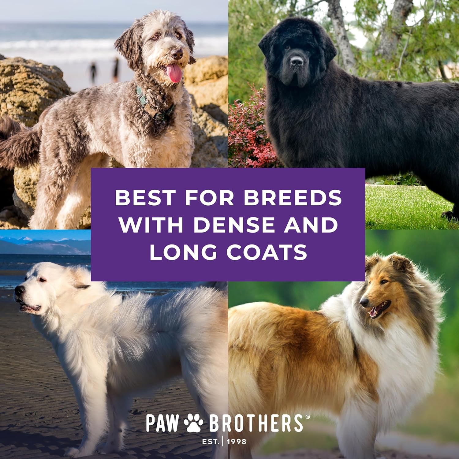 Paw Brothers Professional Grade Soft Pin Flat Slicker Brush for Large Dogs - X-Large, Gentle Coated Tips for Tangle and Mat Removal, Maximum Coverage