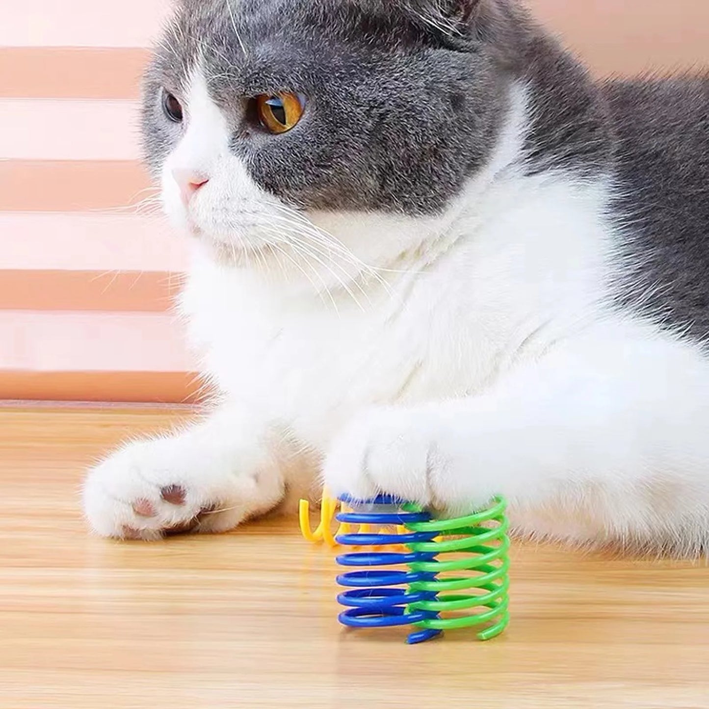 40-Pack Colorful Cat Spiral Springs - Durable Plastic Coils for Indoor Play and Engagement